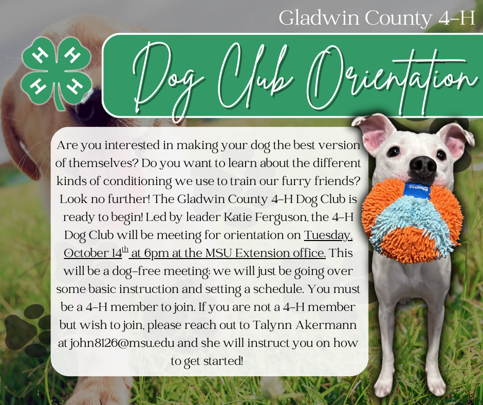 2025 dog club orientation.png